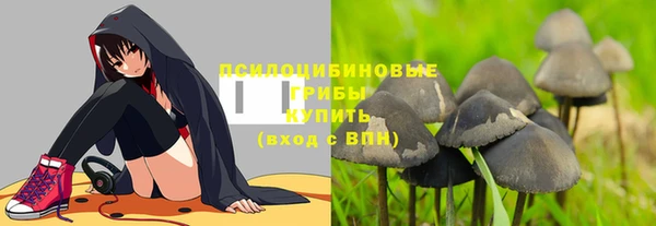 таблы Уссурийск