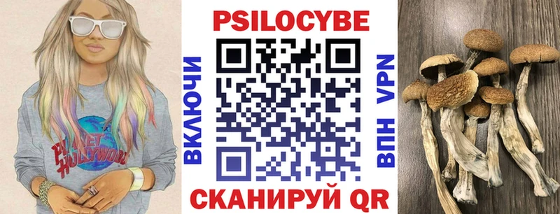 цены   Чудово  Псилоцибиновые грибы GOLDEN TEACHER 